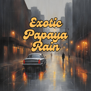 Rainy Evening Wind-Down in Rome's Trevi Fountain for a Calming and Soothing Experience