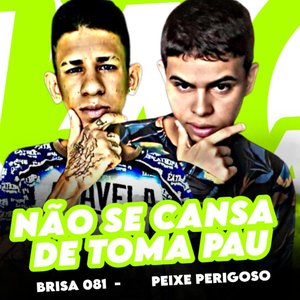 Não Se Cansa de Toma Pau (feat. brisa no beat)