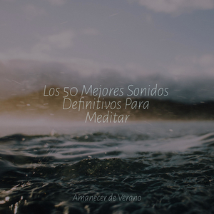 Celebración del Bosque Encantado