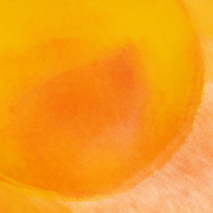 ทุกเช้า