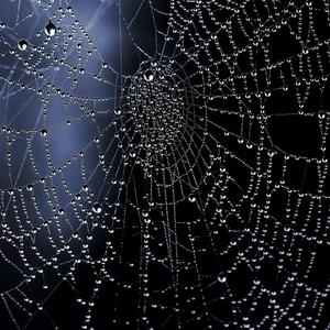 VENXM (feat. yxngfery)