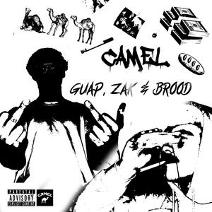 GUAP, ZAK & BROOD