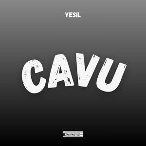 Cavu