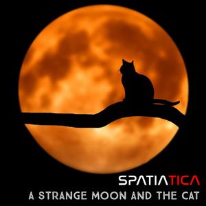 A Strange Moon And The Cat