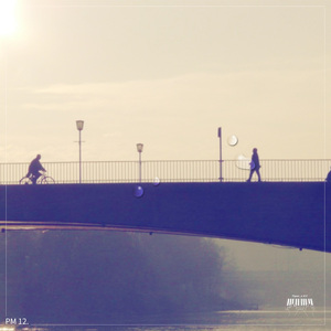 PM 12