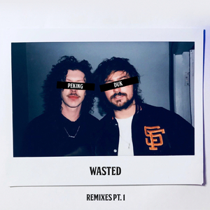 Wasted (SNBRN Remix)