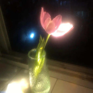 Sajna（亲爱的说你愿意）