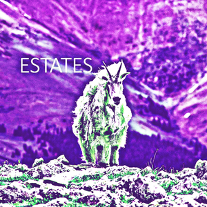 Estates