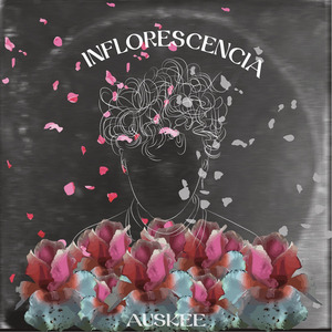 Perspectivas de un Vinilo