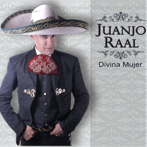 Novillero