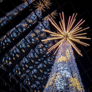 Everybody Wants (To Come Home) 2.0