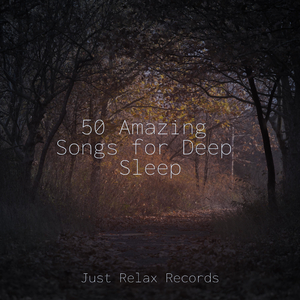 Enchantment's Awakening