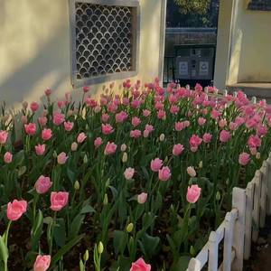 Valentine's Day（Prod.by 顺赢INKA）