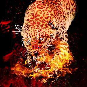 Kapanan Kapıyı KIR!