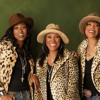 The Pointer Sisters