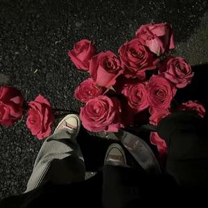 【冰山影帝为我生了只貂】主题曲《谜题》—罗文Rown&陈鹏杰