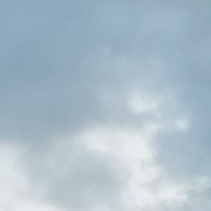 不相逢【翻自子无余《烂柯》】