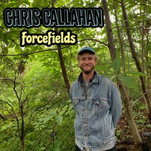 Forcefields