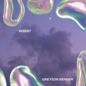 Insert