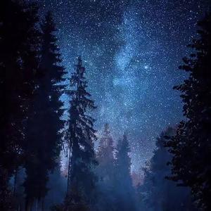 水滴助眠 阿尔法脑波音乐