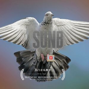 Sunb（阳光）