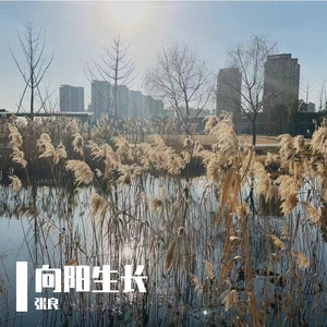 人间是个好地方