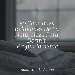 Ecos de Cascadas Melancólicas