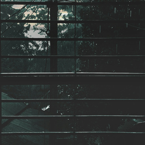 Disappear Into The Noise