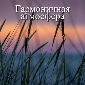 Блаженные ритмы