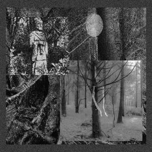 SWITCH THE LIGHTS OFF