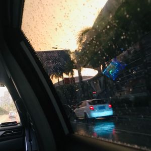 你能永远地遮住这一切吗