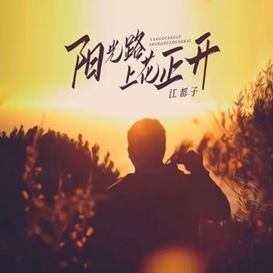 阳光路上花正开