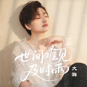 世间难见及时雨（DJ默涵版）