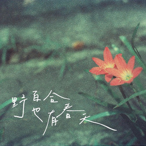 野百合也有春天