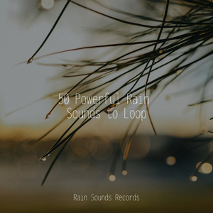 Fluttering Flora Flow