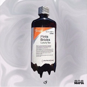 Pints Bricks ( Prod. By South Side )