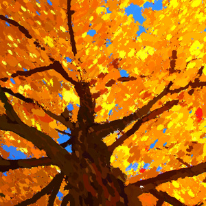 Birch (2022 Remastered Version)