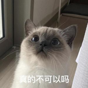 夏日晚风
