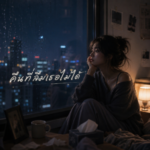 คืนที่ลืมเธอไม่ได้