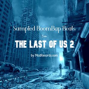 The Last of Us 2 (sampled guitar) [hiphop instrumental] (Instrumental)