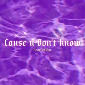 Dont know（feat.IcBlue)
