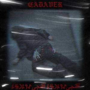 CADAVER