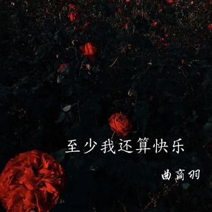 至少我还算快乐