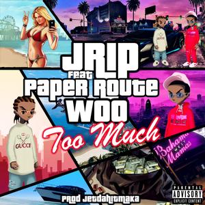 Too Much (feat. PaperRoute Woo)