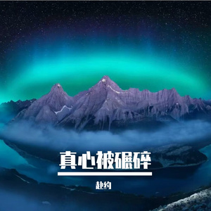 真心被碾碎