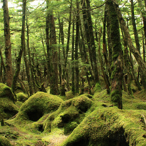 ある旅人の風景