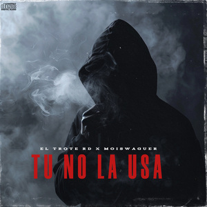 TU NO LA USA