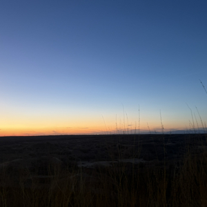 心中思念枝繁叶茂