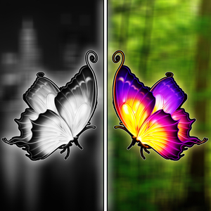 Butterfly