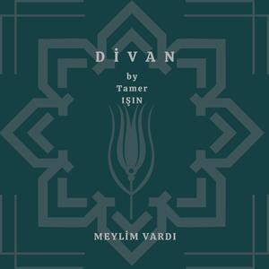 Meylim Vardı (feat. AI Music Project)